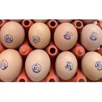 ราคา ไข่เชื้อไก่ประดู่หางดำ ฟองละ 30 บาท รับ 10 ฟอง แถมฟรีเพิ่มให้อีก 2 ฟอง (21569249250)