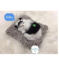 ราคา ตุ๊กตาดูดกลิ่น ตุ๊กตาดับกลิ่น ตุ๊กตาแมว หมาดูดกลิ่น ตุ๊กตาแมว หมาดับกลิ่นในรถ น่ารักเหมือนจริงมากๆๆ น้องมีเสียงทุกตัว (19551836750)