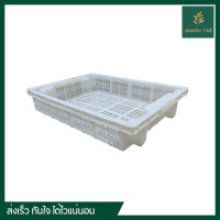 ราคา ลังปลาหมึก ลังเนื้อทุเรียน ตะแกรงหมึก ลังหมึก ลังห้องเย็น ตะกร้าเตี้ย ลังโปร่งสลับซ้อน Food grade (21399407765)