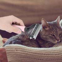 ราคา สัตว์เลี้ยงสุนัขแมวขนปมเครื่องตัดคราดกำจัดขนหวีแปรงกรูมมิ่งเครื่องมือ (7688345556)