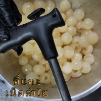 ราคา ที่แกะเม็ดลำไย ที่คว้านเม็ดลำไย ไม้แกะลำไยสด ไม่มีสปริง (21775304009)