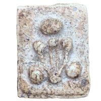 ราคา พระปิดตา อาจารย์หนู วัดโพธิ์ท่าเตียน เนื้อผง (21395512505)