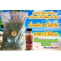 ราคา สาหร่ายพวงองุ่น พร้อม น้ำจิ้มซีฟู๊ด กิโลกรัมละ 129 บาท เมนูยอดฮิต (7872284904)