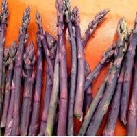 ราคา Sweet Purple Asparagus Seed หน่อไม้ฝรั่งสีม่วงงงงง ถูกที่สุด เมล็ดพันธุ์หน่อไม้ฝรั่งม่วง 10เมล็ด งอกง่าย โตไว พุ่มใหญ่ ทานอร่อย หน่อไม้ฝรั่งม่วง Vegetable Seeds เมล็ดพันธุ์ผัก เมล็ดผักต่างๆ เมล็ดพันธุ