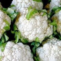 ราคา Cauliflower Seeds 350เมล็ด ซอง เมล็ดพันธุ์ กะหล่ำดอก กะหล่ำดอก ถูกที่สุด เมล็ดพันุธ์กะหล่ำดอก งอกง่าย โตไว ให้ผลผลิตดี Vegetable Seeds เมล็ดพันธุ์ผัก เมล็ดผักต่างๆ เมล็ดพันธุ์ เมล็ดผักสวนครัว ปลูกได้ท