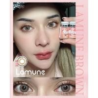 ราคา มีค่าสายตา Rozelens LAMUNE Gray Brown บิ๊กอาย สุดปัง คอนแทคเลนส์ รายเดือน มีอย แถมตลับฟรี เลนส์นิ่ม สวยปังมาก (18456038890)