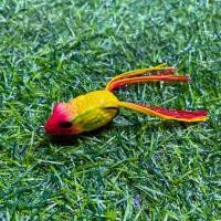 ราคา เซ็ทเหยื่อตกปลาช่อน เหยื่อตกปลา กบยาง กบยางตกปลา กบหางพู่ กบยางตกปลา พร้อมกล่องพลสาติก 5 ช่องเล็ก คละสี (21636723264)