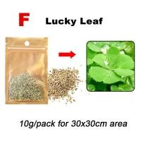 ราคา Teeker พรมปลูกหญ้าในตู้ปลาพรมสีเขียวเมล็ดพืชหญ้าน้ำสำหรับตกแต่งสวนสนามหญ้าตู้ปลา (13839353554)