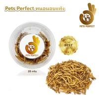 ราคา Pets Perfect หนอนนกอบแห้ง หนอนใหม่คัดเกรด กลิ่นหอม หนอนนกอบแห้ง ไม่ปรุงรส ขนาด 20 กรัม (19354370799)