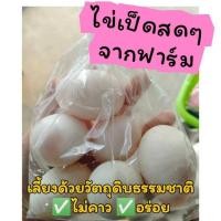 ราคา ไข่เป็ดสดๆจากฟาร์ม เก็บทุกวัน ไข่เป็ดสาวอารมณ์ดี แพ็ค6ฟอง หนัก50 55กรัม ฟอง (21282598640)