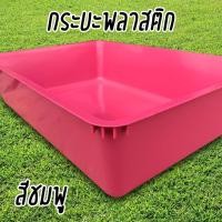 ราคา กระบะพลาสติก กระบะอเนกประสงค์ ถาดพลาสติก กระบะทรายแมว (18173848239)
