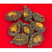 ราคา เบี้ยแก้ (21725316144)