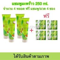 ราคา ส่งฟรี ของแท้ Lot ใหม่ แชมพูมะพร้าวcocomilk ชุดใหญ่ 1 แถม 1 แถมแชมพู ครีมนวดซอง ครีมนวด แชมพูน้ำมันมะพร้าว แชมพูโคโค่มิ้ลค์ แพ็คเก็ตใหม่ (17166821216)