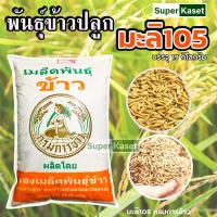 ราคา เมล็ดพันธุ์ข้าวมะลิ 105 ตรากรมการข้าว พันธุ์ข้าวหอมมะลิ 105 ข้าวปลูก บรรจุ 19 กก (8870786891)