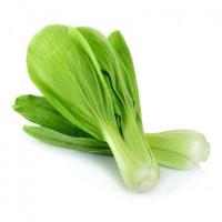 ราคา สดจากฟาร์ม กวางตุ้งไต้หวัน สด สะอาด รับประกันคุณภาพ ราคา ถูก ส่ง (21005830456)