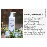 ราคา A Sleepy Town Rosemary shampoo Avocado shampoo butterfly pea shampoo (21461248874)