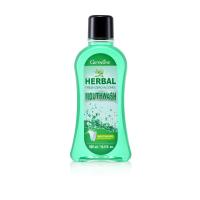 ราคา ส่งฟรี น้ำยาบ้วนปาก กิฟฟารีน สูตร ไม่มีแอลกอฮอล์ ไม่แสบปาก Herbal Fresh Zero Alcohol Mouthwash GIFFARINE ดูแลสุขภาพช่องปาก (21081436504)