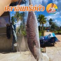 ราคา ปลาอินทรีย์แห้งเค็ม ตัวเล็ก (21428948872)