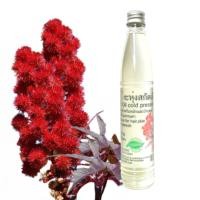 ราคา น้ำมันละหุ่ง น้ำมันละหุ่งOrganic น้ำมันละหุ่งสกัดเย็น น้ำมันละหุ่งออแกนิกส์ เพียว100 บำรุง ใบหน้า ผม ผิว คิ้ว ขนตา Castor Oil Cold Pressed organic (17968542332)