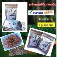 ราคา เมล็ดกาแฟคั่ว เมล็ดกาแฟคั่วบด เทพเสด็จ บรรจุซองละ 250 กรัม (21014312862)