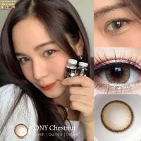 ราคา มีค่าสายตา Wink Pony Gray Brown บิ๊กอาย สุดปัง คอนแทคเลนส์ รายเดือน มีอย แถมตลับฟรี เลนส์นิ่ม สวยปังมาก Gray Brown (20978418403)