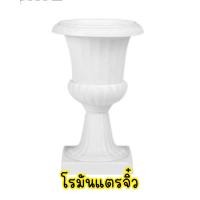 ราคา กระถางโรมันจิ๋วโรมันแตรจิ๋ว พร้อมส่ง (21636984213)