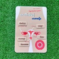 ราคา สื่อการสอนระบบต่างๆของร่างกาย สื่อการสอนวิทยาศาสตร์ สุขศึกษา สื่อการสอนทำมือ ขนาดเต็มหน้า A4 (21640229881)