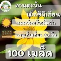 ราคา เมล็ดพันธุ์ ทานตะวันเม็กซิมิเลี่ยน 100 เมล็ด ทานตะวันดอกดก Maximilian Sunflower ปลูกง่าย ไม่กลายพันธุ์ (7498661132)