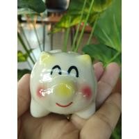 ราคา ออมสินลูกหมูเซรามิก กระปุกออมสิน ออมสินเซรามิก ของฝาก (21258321378)