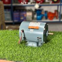 ราคา Kanto มอเตอร์ 1 3 HP 4P รุ่น KT M1 3 3 C ขนาด 1 3HP 220V ของแท้ 100 ร้านเป็นตัวแทนจำหน่าย (21600790078)