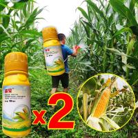 ราคา ยาฉีดหญ้าข้าวโพดเห็นผลทันที ยาฆ่าหญ้าไร่ข้าวโพด นาข้าวโพด 100 ปีไม่มีวัชพืช ยาฆ่าหญ้าข้าวโพดซัลฟูรอน4 อาทราซีน20 ฆ่าหญ้าข้าวโพดไม่ทำลา ข้าวโพด ยาฆ่าหญ้าในข้าวโพด ยาฆ่าหญ้า อัตรากำจัดวัชพืช100 (2156087