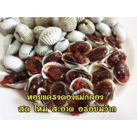 ราคา พร้อมส่ง หอยแครงดองน้ำปลากวน สูตรแม่กลอง ขนาด 700 กรัม รสชาติเค็มหวาน กำลังดี หอยแครงดอง หอยแครง ของฝาก แม่กลอง (11753725189)
