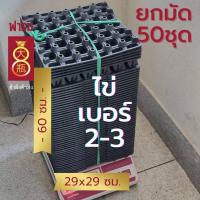 ราคา แผงไข่พลาสติก ถาดไข่30ฟอง เบอร์0 1 เบอร์2 3 ของใหม่ ยกลัง แพค50 (21690938637)