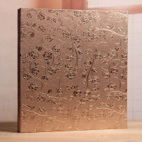 ราคา อัลบั้มรูป แบบสอด ขนาด 4R 6 นิ้ว อัอัลบั้มภาพปกหนัง pu 5 ช่อง ใส่รูป 4x6 นิ้ว แบบใส จุได้ 400 (21368989182)