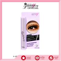 ราคา แท้ ถูกที่สุด ไลฟ์ทุกวัน Ashley Rapid Warping Upturned Mascara A 430 มาสคาร่าขนตางอน (21739222639)