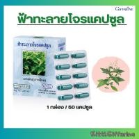 ราคา ฟ้าทะลายโจร ชนิดแคปซูล ฟ้าทะลายโจร 400 มิลลิกรัม เลขทะเบียนที่ G207 43 (21647038083)