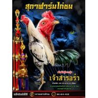 ราคา ไข่เชื้อไก่ชนพม่า ไอคิวเยี่ยม หวงเนื้อหวงตัว แข้งหน้าจัดจ้าน เหลี่ยมดีวิ่งชิ่งเตะ รับประกันการจัดส่ง (21701292911)