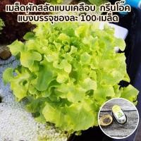 ราคา เมล็ดผักสลัด แบบเคลือบ แบ่งบรรจุ ซองละ 100 เมล็ด นำเข้าเนเธอร์แลนด์ ออแกนิค organic (21451902334)