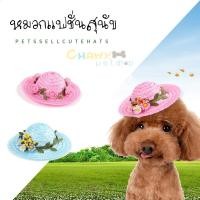 ราคา หมวกฟาง หมวกฟางแฟนซี หมวกสุนัข หมวกฟางสุนัข หมวกสัตวืเลี้ยง หมวกแมว (16317185221)