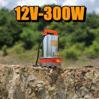 ราคา ปั๊มน้ำไฟฟ้า ปั้มแช่ ปั๊มไดโว่ ปั๊มจุ่ม 1นิ้ว ไดโว่ดูดน้ำ 12V300w ปั๊มจุ่ม ปั๊มไดโว่ ปั๊มน้ำ ปั้มดูดน้ำ ปั๊มแช่ไฟฟ้า (21727909932)