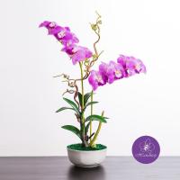 ราคา ็ืHanditop HAAR160006 Dendrobium PU แจกันดอกกล้วยไม้ปลอม หวายเดนโครเบียมสีม่วงเข้มในแจกันเซรามิคสีขาว (8458628)