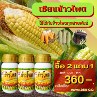 ราคา เซียนข้าวโพด ฮอร์โมนข้าวโพด ปุ๊ยฉีดข้าวโพด ปุ๋ยทางใบ ฮอร์โมนพืช อะมิโน ปุ๋ยสูตร ยาฉีดข้าวโพด สาหร่าย อาหาร (18918008866)