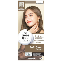 ราคา Liese Creamy Hair Color ลิเซ่ ครีมมี่ แฮร์ คัลเลอร์ โฟมเปลี่ยนสีผม ลิเซ่ (21436696802)