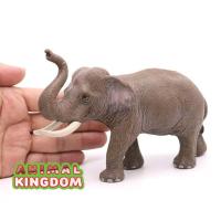 ราคา Animal Kingdom โมเดล Elephant ช้าง เอเชีย ขนาด 16 00 CM จากสงขลา (16832414693)