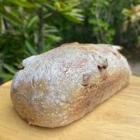 ราคา Sourdough Plainมะกอกดำเชดด้าชีสวอลนัทแครนเบอรี่ ไซส์เล็ก (21506391234)