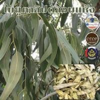 ราคา ใบใบยูคาลิปตัส อบแห้ง ปลูกแบบอินทรีย์ อบด้วยแสงอาทิตย์ สินค้าดี OTOP พร้อมส่ง 20 กรัม (21808159800)