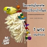 ราคา ของเล่นนก โมบายขวัญใจสายกัด ของเล่นจากเปลือกข้าวโพด ของตกแต่งกรงนก ฟอพัส หงส์หยก ค็อกคาเทล ของเล่นกัดแทะสำหรับนกแก้ว (17543779725)
