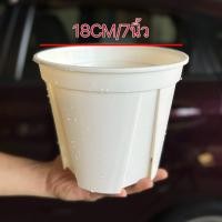 ราคา กระถางทรงสูง สายเขียว กระถางต้นไม้ทรงสูงสีเขียว กระถางต้นไม้พลาสติก กระถางแคคตัส กระถางญี่ปุ่น QS (17203350639)