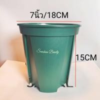 ราคา กระถางทรงสูง สายเขียว กระถางต้นไม้ทรงสูงสีเขียว กระถางต้นไม้พลาสติก กระถางแคคตัส กระถางญี่ปุ่น QS (11080779915)