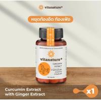 ราคา 1กระปุก 30แคปซูล Vitanature Curcumin ไวตาเนเจอร์พลัส สารสกัดขมิ้นชัน ผสมสารสกัดขิง แก้ท้องอืด ท้องเฟ้อ ในผู้สูงอายุ (21764376476)